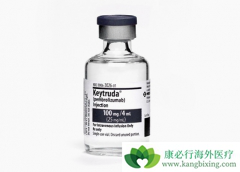 PD-1���Ƽ�Keytruda���Ͽ�Ѫ���������ƿ�������θ��������