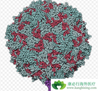 ��������ײ�������ܹ���Ϊ���ƽ���ĸϸ������������