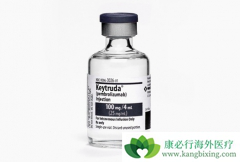 Kҩ���Ͽ�������������Щ���͵ķ�Сϸ���ΰ���