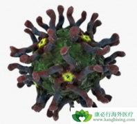 ��������ײ�������������Ƹ����������