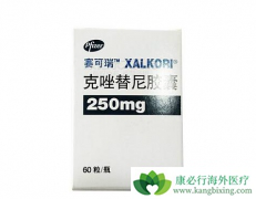 ɫ���������ڿ�����������ʧ�ܵ�����NSCLC���߾��������ٴ�����