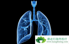 ����ά��������������ЩΣ������ʲô���Ʒ�����