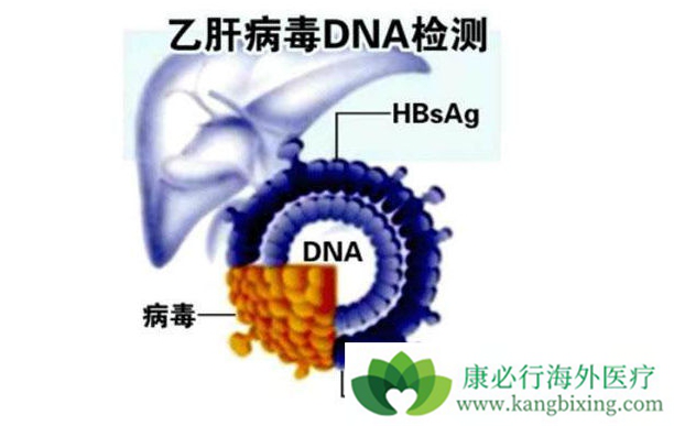 Ҹdna