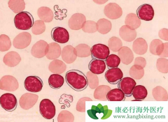 ��Щ�����ܰ�ϸ����Ѫ��������Ҫ���ƣ�