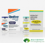 ���䵥��(Opdivo)����ת�������ٰ����ߵ�Ч����ô����