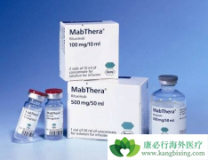 �ǻ�����ܰ�������Ӧ�����ע�����޻�(Ristova)���ƣ�