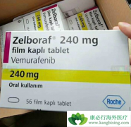  ��ɫ�����������Ƴ������޷��ỹ��ʲô��