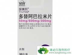 ���������й��ڵ�HIV����������׸��������Ʒ����ĵ�Ƭ�����Ƽ�