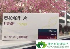 PARP���Ƽ�����������һ������DNA����Ӧ����ƿ�������ҩ