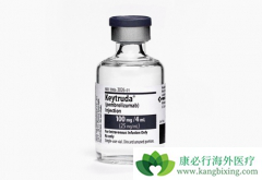 PD-1���Ƽ�Keytruda������������˳������һ�����Ʒ�Сϸ���ΰ�