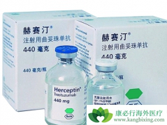 ����͡/�����鵥����ҩ��ʽ��Ҫ������Ӧ֢���б仯��