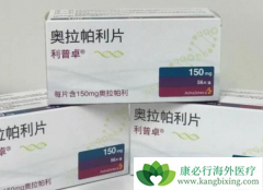 PARP���Ƽ������������ư�֢����Ч��ô����