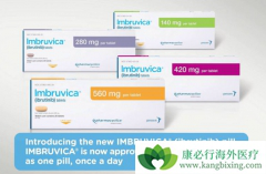 ��³����(Ibrutinib)��ȫ���׸�������BTK���Ƽ���