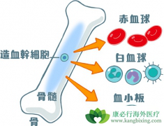 ��Ѫ�������������Щ��ѧ���ʺͲ�����