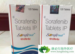 Ƥ����Ӧ����Ϊ��������/�༪���Ƿ�Ըΰ���Ч�ı�־��