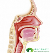 ���ʰ�������ô���ƣ��������Ƕ��٣�