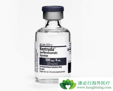 ��ķ����(Keytruda)����������PD-L1��������ʳ�ܰ����ߵ���������