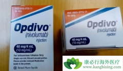 ��ȶ����������䵥��(Opdivo)����������NSCLC���ߵ���������