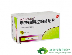 ��������(Lapatinib)�����ٰ���ת�ƾ��кܺõĿ�������