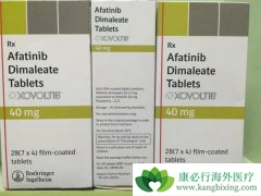 EGFR���Ƽ���������(afatinib)�����Ĳ�����Ӧ����ο��ƣ�