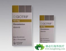 ���������뻯�ƺ�һ��TKIҩ���ٴ���������NSCLC����Ч�Ƚ�