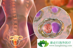 ���������κ��𣿹����������ܻ��ã�