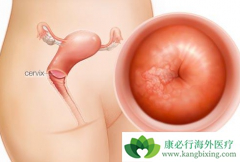 �������ܹ��κ��𣿹����������ܻ��ã�