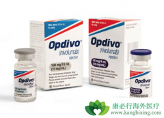 PD-1���Ƽ�Oҩ�����������ڸΰ�������