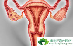 �ѳ������ĳ���֢״��ʲô���ᷢչΪ�ѳ�����