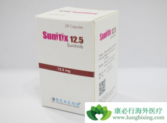 ��������(sutent)�ļ����汾�м�����