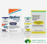 ���ڷ�Сϸ���ΰ�ʹ��Opdivo���Ƶ���Ч��ô����