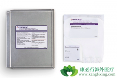 CAR-Tϸ���������ƿ��������ܰ������Ѫ������