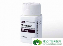 �������(Vizimpro)����������Щ���͵ķΰ����ߣ�