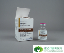 �����鵥�����������鵥��˫��������HER2�������ٰ���ô����