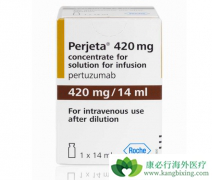 HER2�������ٰ�������ҩ������/�����鵥����ʽ�ڹ�������