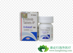 ��������(Erlotinib)���ƺ���EGFR������20ͻ��ķΰ�������Ч
