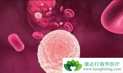 ���������쳣�ۺ�֢����Щ��̬���ֺ�֢״���֣�