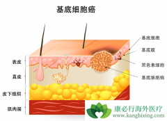 �����ҩ��������������ڻ���ϸ����������