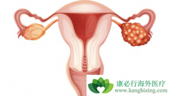 �ѳ�����������Щ����ͬ�����кβ�֮ͬ����