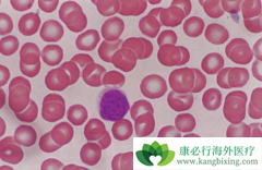 ��Щ���������շ���ͯ�����ܰ�ϸ����Ѫ����