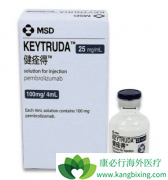 Kҩ������Ч���ӳ���Сϸ���ΰ����ߵ���������