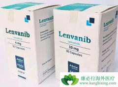 �ط���������ж����и��ױ����ĸΰ����������ش�