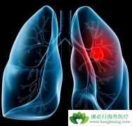 �ΰ����ڵ�֢״����δ�����