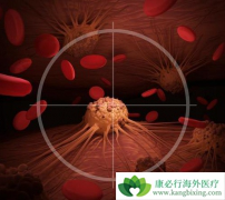 �˽������ܰͰ�֢״���������ܰͰ���Ԥ��������