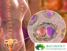 ���������κ���������ڷ��ֹ�������