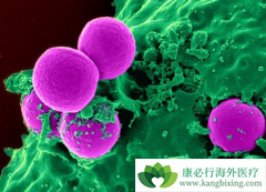 ���谩������Щ���ͣ���Ѫ�����ڹ��谩��