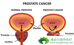 ��������ת��֮��ǰ���ٰ��ܻ��ã�