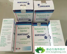 ��������(Bortezomib)ά�������ܸ���MCL���ߵ�Ԥ����