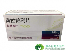 PARP���Ƽ��������ư�֢��BRCA1ͻ����