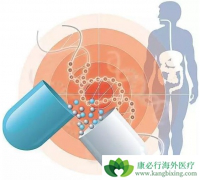 ���Ӱ�������Ϊ��ϸ���������ƴ����µľ���